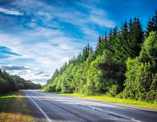 Naklejka premium Beautiful highway road