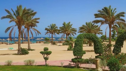 Fototapeta na wymiar Idylic hotel beach with palm trees, Red Sea, Egypt
