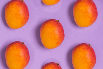 Pattern of ripe tropical mangoes purple background, top view, minimal composition, summer fruit...