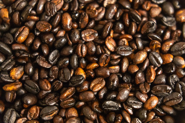 Close-up of roasted coffee beans