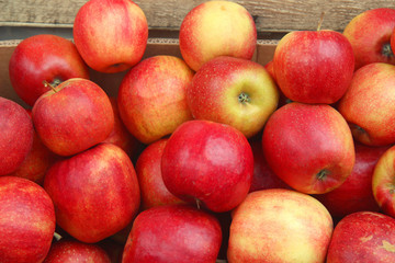 pile of red apples