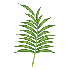 Leaf nature plant symbol