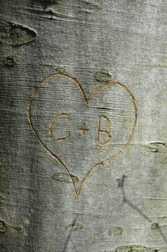 in baumstamm geritztes herz