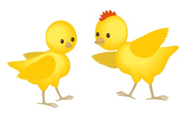 Easter fluffy chickens