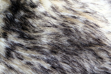 Texture fur gray with a long nap - Powered by Adobe