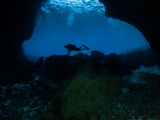 Fototapeta na wymiar Diving Christmas Island