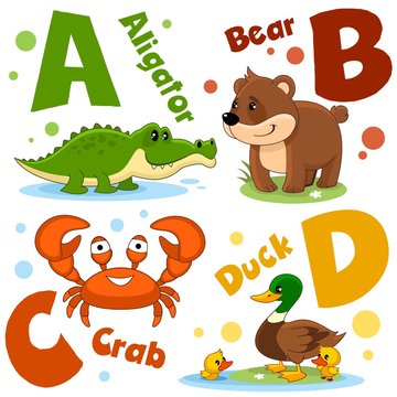 A set of letters with pictures of animals, words from the English alphabet. For the education of children. Characters animals zebra and yak.Character animal aligator, crocodile, bear, crab, duck with 