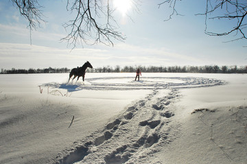 The horse runs in a circle in the snow