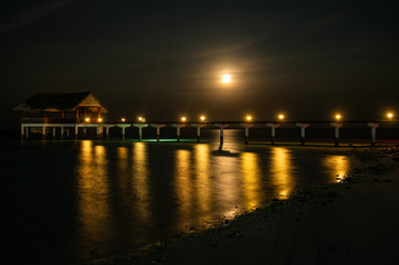 Fototapeta na wymiar the moon in the night