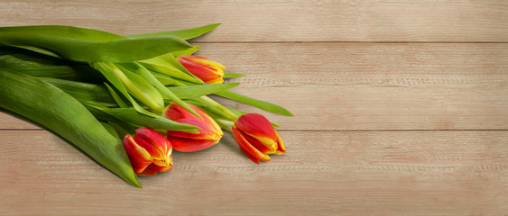 floral border copy space. red yellow tulips on wooden background. spring background