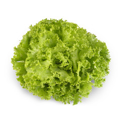 A curly lettuce isolated