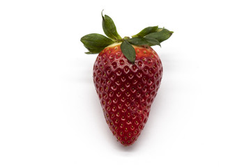Fragole