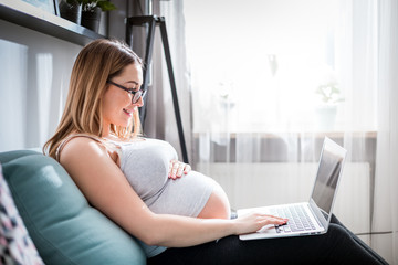 Fototapeta na wymiar Smiling pregnant woman using laptop, sitting on sofa at home
