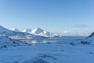 Eisschollen im arktischen Wasser am Grøtfjord in Norwegen