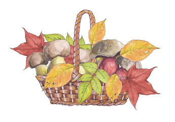 Watercolor illustration of autumn leaves in wicker basket
