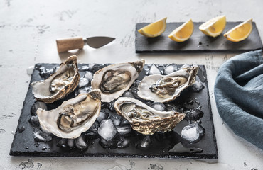Raw oysters on the slate board