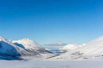 Fototapeta na wymiar eingescheiter norwegischer Fjord im Winter