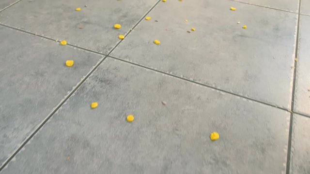 Cornflakes, flour and seeds on the gray tile on the kitchen floor. Dirty kitchen floor with leftovers.