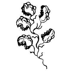 Engraved Vector Hand Drawn Illustrations Of Abstract Oak Branch Isolated on White. Hand Drawn Sketch of a Flower