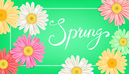 Spring banner. Hand drawn lettering. Background with chamomile, daisy. Spring Time template, flyer, posters, brochure. Happy spring Day. Fashionable styling. Flower vector isolated