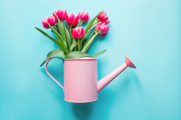Decorative watering can with pink tulips on blue. Gardening concept. © svetlana_cherruty