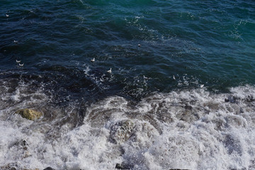 Black Sea waves versus rocks
