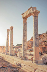 Ancient Columns