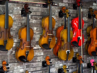 violins standing on the wall in a music store. many wooden violins