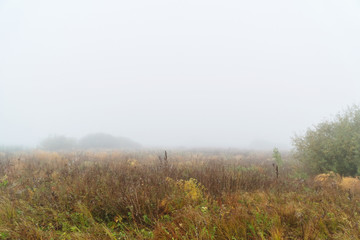 Obraz na płótnie Canvas Autumn fog over a meadow. Autumn landscape