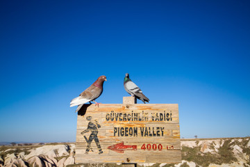 Pigeon Valley viewpoint which can be seen Route signs for Uchisar in Cappadocia, Turkey