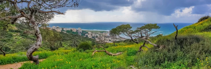 Gordijnen Mount Carmel in Haifa, Stella Maris - Panoramische opname. Reis in de winter naar Israël. © MZalevsky