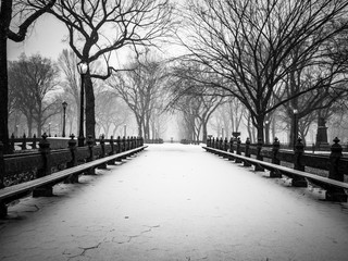 Snow Fall In Central Park, New York City
