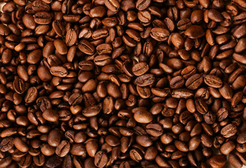 coffee beans background