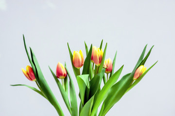 Bezauberndes Tulpenblüten-Ensemble als Ostergeschenk