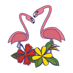 Exotic birds cartoons blue lines