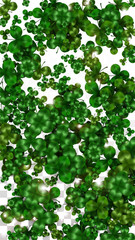Fototapeta na wymiar Vector Clover Leaf Isolated on Transparent Background with Space for Text. St. Patrick's Day Illustration. Ireland's Lucky Shamrock Poster. Invintation for Concert in Pub. Top View. Success Symbols.