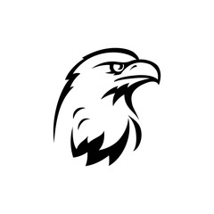 bird of prey yastreb