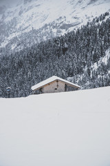 alpine hut in winter