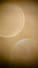 abstract optical illusions