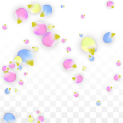 Vector Realistic Colorful Petals Falling on Transparent Background.  Spring Romantic Flowers Illustration. Flying Petals. Sakura Spa Design. Blossom Confetti. Design Elements for Wedding Decoration.