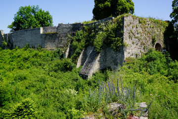 Fototapeta na wymiar castle ruin hohenurach wilderness