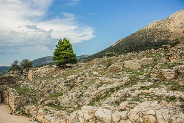 Fototapeta na wymiar archeological site stone city ruins from ancient Greece time in highland rocky natural country side environment with lonely tree on rock