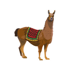 Llama with a blanket © Hennadii