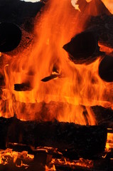 fire/ burning wood