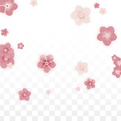 Vector Realistic Pink Flowers Falling on Transparent Background.  Spring Romantic Flowers Illustration. Flying Petals. Sakura Spa Design. Blossom Confetti. Design Elements for Wedding Decoration.