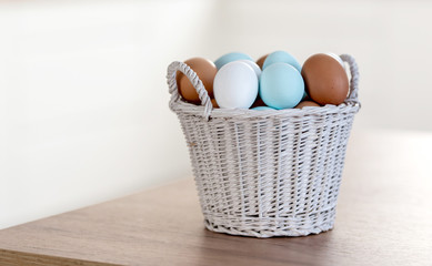 Spring and Easter holiday concept. Easter eggs painted blue and white, pastel color background. Isolated on white.