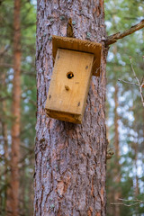 Birdhouse on the tree waiting for the starlings, in the spring in the forest