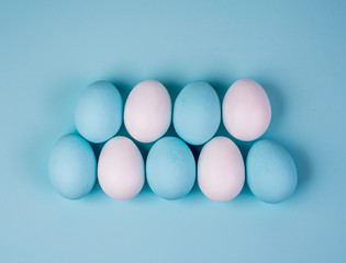 Spring and Easter holiday concept. Easter eggs painted blue and white, pastel color background. Isolated on white.