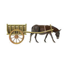 Donkey cart vector