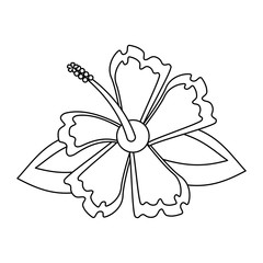 Beautiful flower cartoom isolated in black and white
